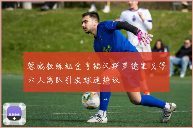 蓉城教练组金亨镒汉斯罗德里戈等六人离队引发球迷热议